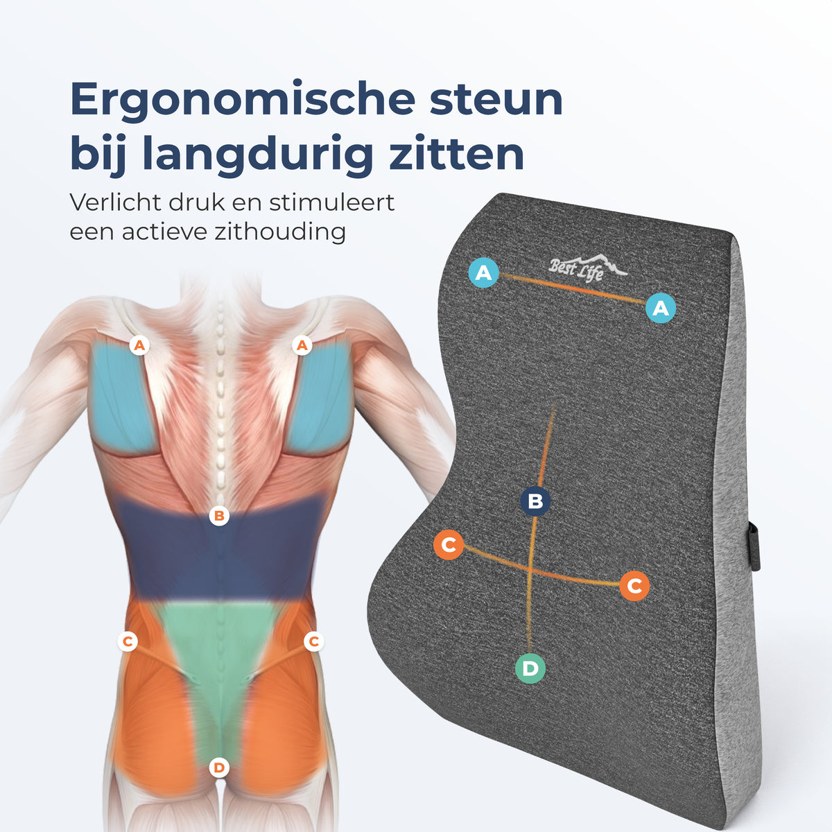 Ergonomisch Rugkussen Jannu voor steun in de onderrug bij langdurig zitten